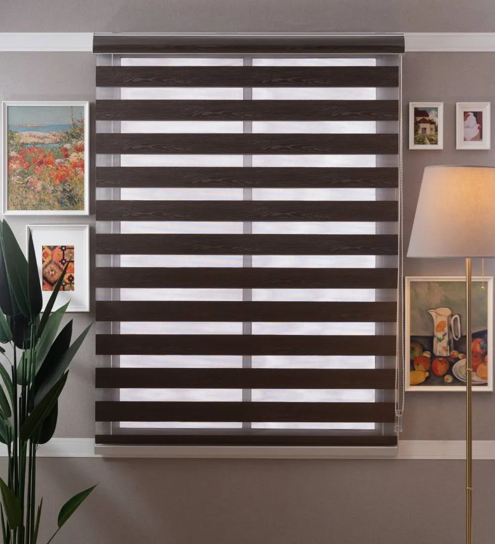 Rome Waterproof Moldproof Sunscreen Zebra Blinds